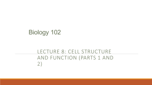 Biology 102 Lecture 8: Cell Structure and Function