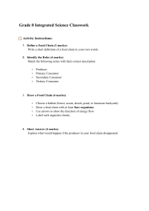 Grade 8 Food Chain Classwork Worksheet
