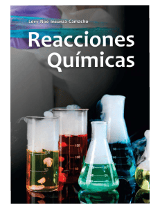 Reacciones Qu&iacute;micas - Libro de texto de qu&iacute;mica