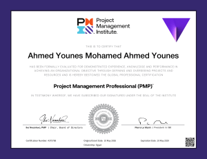 Project Management Professional (PMP)&reg; Certification