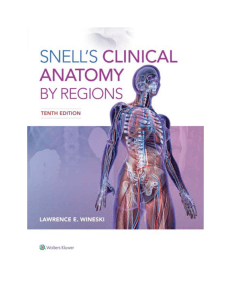 Snell's Clinical Anatomy by Regions 10th Ed