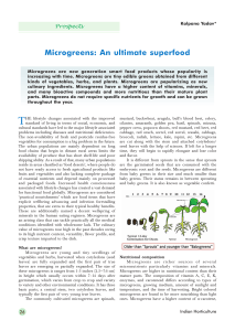 Microgreens: Ultimate Superfood Guide