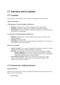 Selection and Evolution Chapter