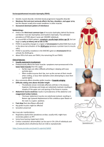 Facioscapulohumeral Muscular Dystrophy (FSHD) Overview