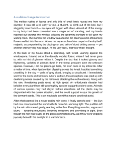 A Sudden Change in Weather: Descriptive Essay