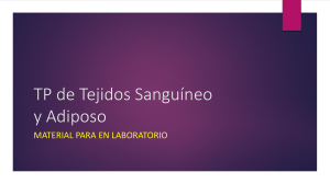 Gu&iacute;a de TP: Tejidos Sangu&iacute;neo y Adiposo para Laboratorio