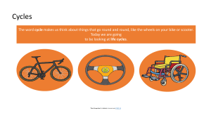 Life Cycles for Kids: Mammals, Insects, Frogs