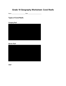 Grade 10 Geography Worksheet: Coral Reefs