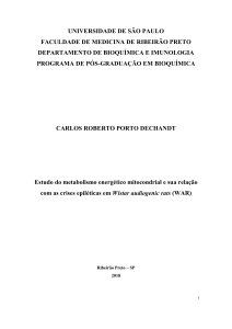 Metabolismo Energ&eacute;tico Mitocondrial e Crises Epil&eacute;ticas em Ratos Wistar Audiog&ecirc;nicos (WAR)