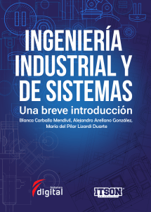 Ingenier&iacute;a Industrial y de Sistemas: Introducci&oacute;n