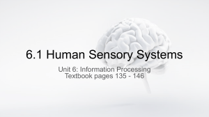 6.1 Human Sensory Systems: Nervous System Overview