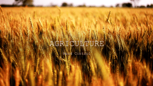 Weed Control in Agriculture: Methods and Benefits