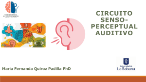Circuito Sensorial-Perceptual Auditivo Presentaci&oacute;n