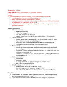 Organisation of Cells: Cell Specialisation & Multicellular Organisms