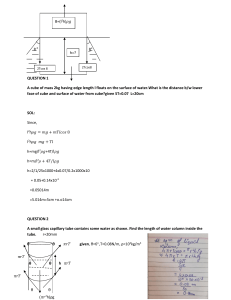 Physics Problems: Surface Tension & Buoyancy