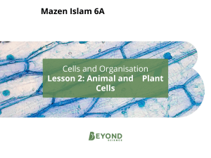 Lesson 2: Animal and Plant Cells