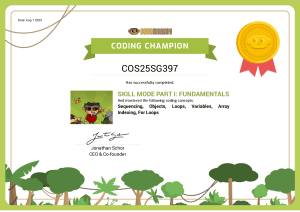 CodeMonkey Coding Champion Certificate