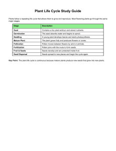 Plant Life Cycle Study Guide: Key Stages Explained