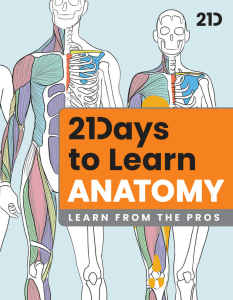 21 Days to Learn Anatomy: Drawing Body Forms & Anatomy