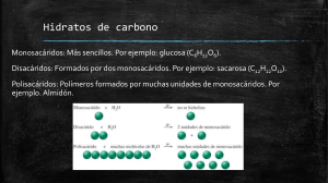 Hidratos de carbono: Monosac&aacute;ridos, Disac&aacute;ridos, Polisac&aacute;ridos