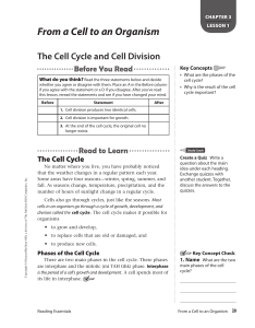 Cell Cycle and Cell Division: From a Cell to an Organism