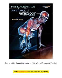 Anatomy and Physiology Study Guide (2026) - High-Yield Topics