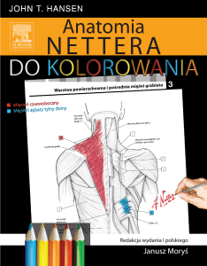 Anatomia Nettera do kolorowania: Książka kolorowania anatomii