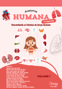 Anatomia humana e comparada: desvendando os sistemas do corpo humano