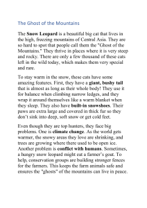 The Ghost of the Mountains: Snow Leopard Facts