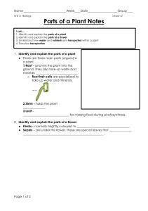 Parts of a Plant Notes - Biology Lesson
