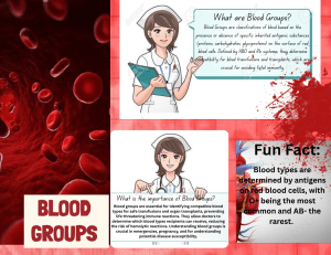 What Are Blood Groups? Types, Importance, and Disease Risks