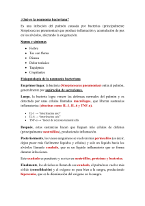 Neumon&iacute;a Bacteriana: Definici&oacute;n, S&iacute;ntomas y Tratamiento