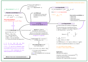 &Aacute;lgebra Linear: Redu&ccedil;&atilde;o de Endomorfismos