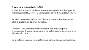 Guano en la econom&iacute;a del S. XIX