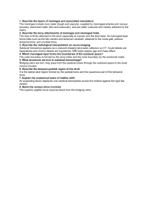Meninges & Subdural Hematoma Anatomy Q&A