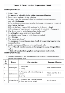 Tissues & Level of Organization NIOS Biology Questions