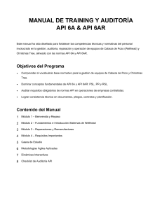 Manual de Training y Auditor&iacute;a API 6A & 6AR