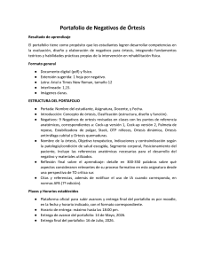 Portafolio de Negativos de &Oacute;rtesis - Evaluaci&oacute;n y Dise&ntilde;o