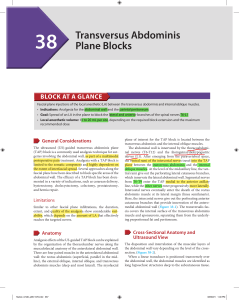 Transversus Abdominis Plane Blocks: TAP Block Guide