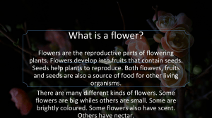 What is a Flower? Parts & Life Cycle of Flowering Plants