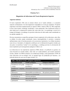 Manual de Pr&aacute;cticas: Infecciones del Tracto Respiratorio Superior