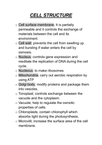 Cell Structure: Organelles and Functions
