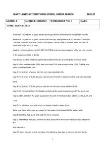 Grade 10 Biology Worksheet: Anaerobic Respiration in Yeast Experiment