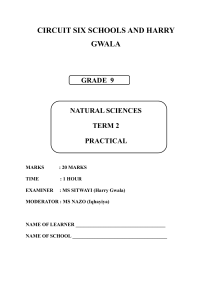 Grade 9 Natural Sciences Practical: Metal Reactions with Oxygen