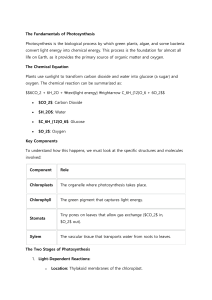 Fundamentals of Photosynthesis