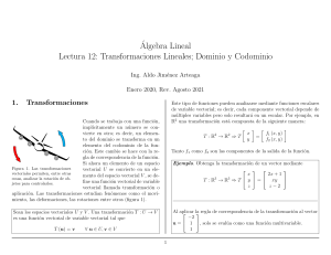 &Aacute;lgebra Lineal: Transformaciones Lineales y Dominio/Codominio