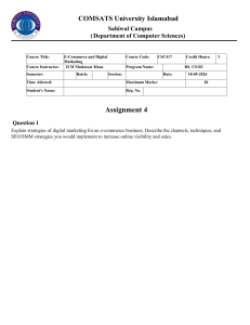 Digital Marketing Strategies for E-commerce Assignment