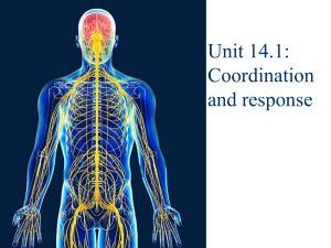 Unit 14.1: Coordination and Response