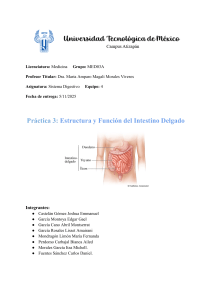 Estructura y Funci&oacute;n del Intestino Delgado