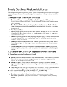 Study Outline: Phylum Mollusca Overview